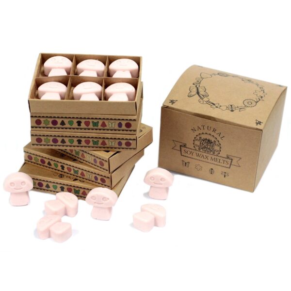 Caja de 6 ceras de Soja - Sándalo - Imagen 2