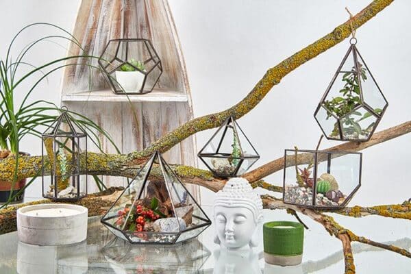 Terrario de Vidrio - Cubo en la Esquina - Imagen 5