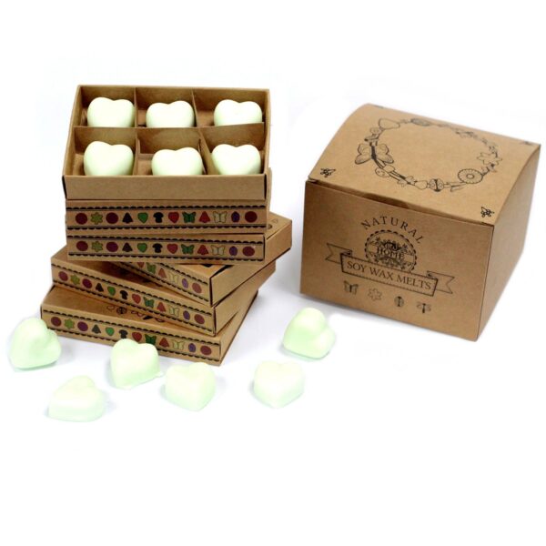 Caja de 6 ceras de Soja - manzana especiada - Imagen 2