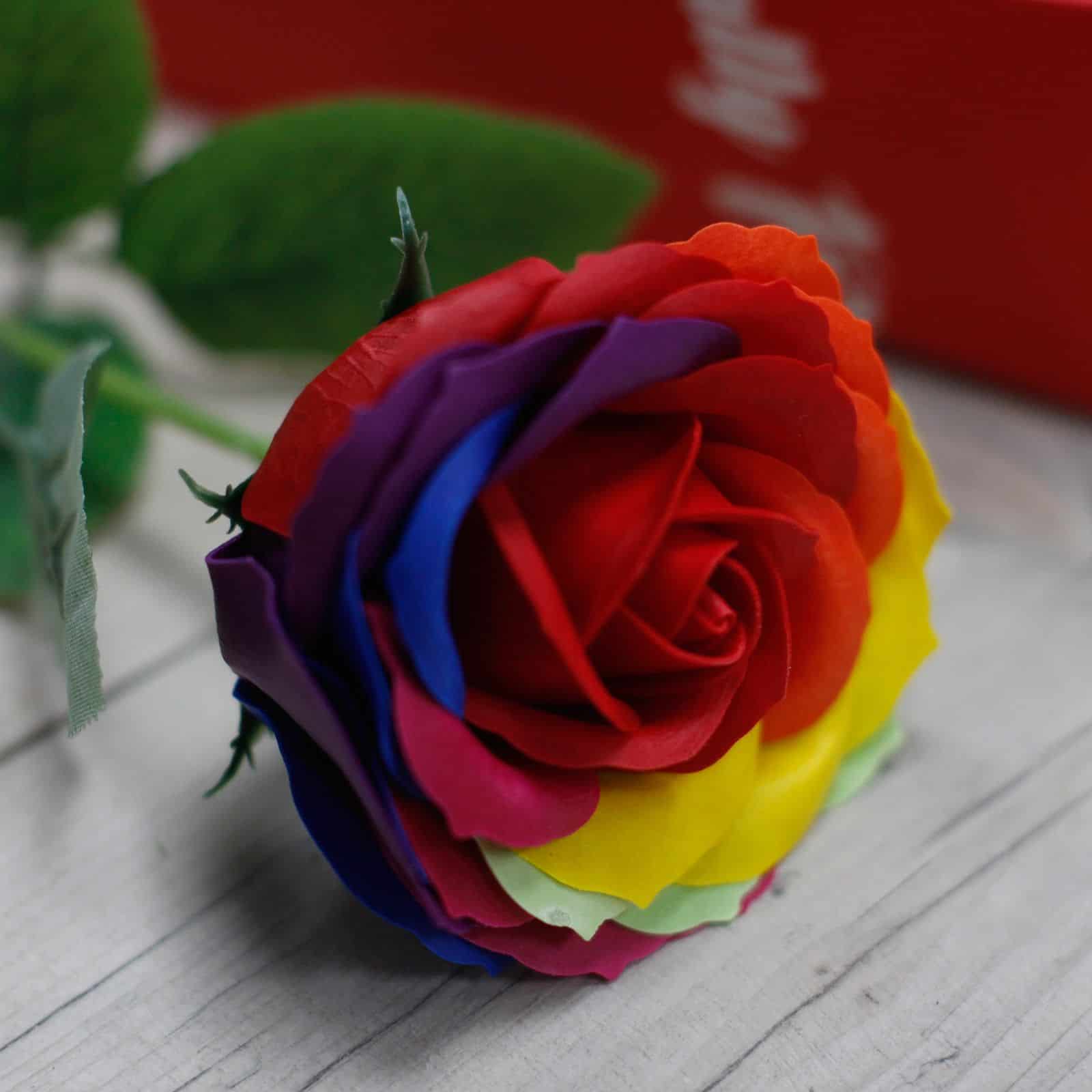 Rosa simple - Arco iris - Imagen 3