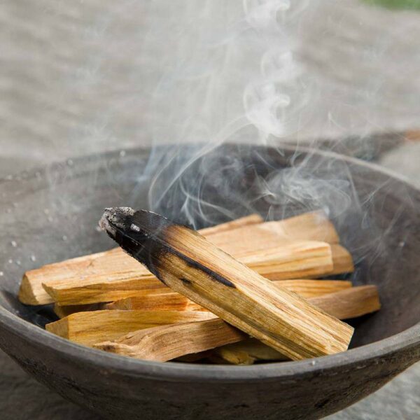 25g Palos de árbol verde de palo santo 3-4 Palitos - Imagen 2