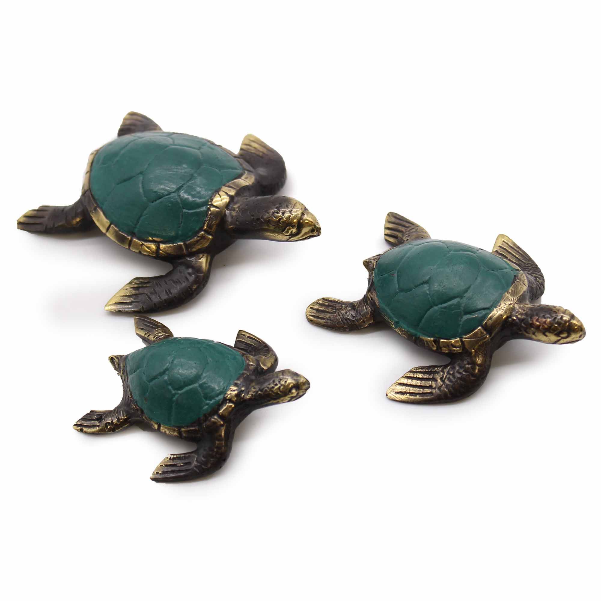 Tortugas Marinas - Set de 3