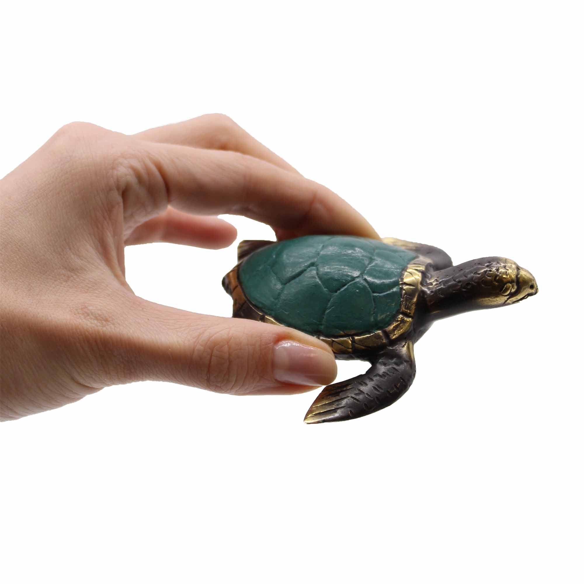 Tortugas Marinas - Set de 3 - Imagen 2