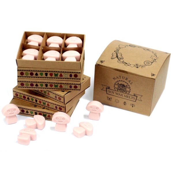 Caja de 6 ceras de Soja - Jengibre - Imagen 2