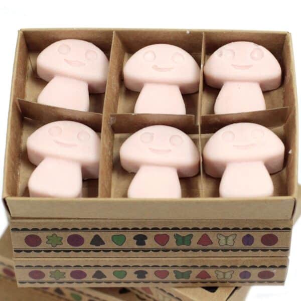 Caja de 6 ceras de Soja - Jengibre - Imagen 3