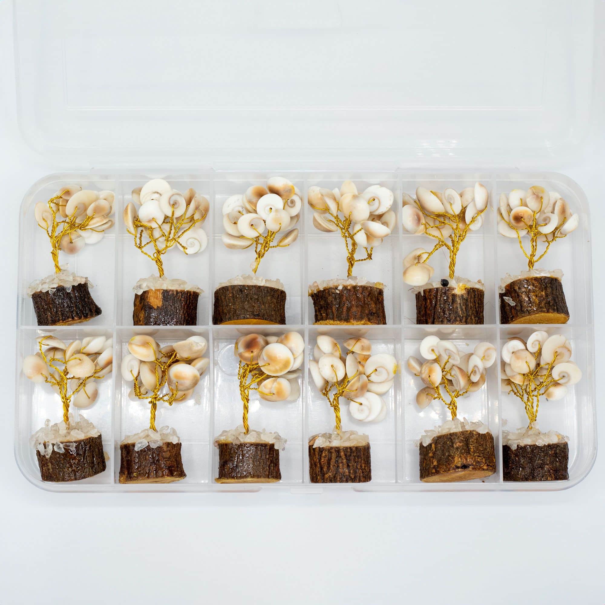 Pequeño Gomati Chakra Árboles de Piedra Círculo con Rudraksha - (15 piedras) - Imagen 2