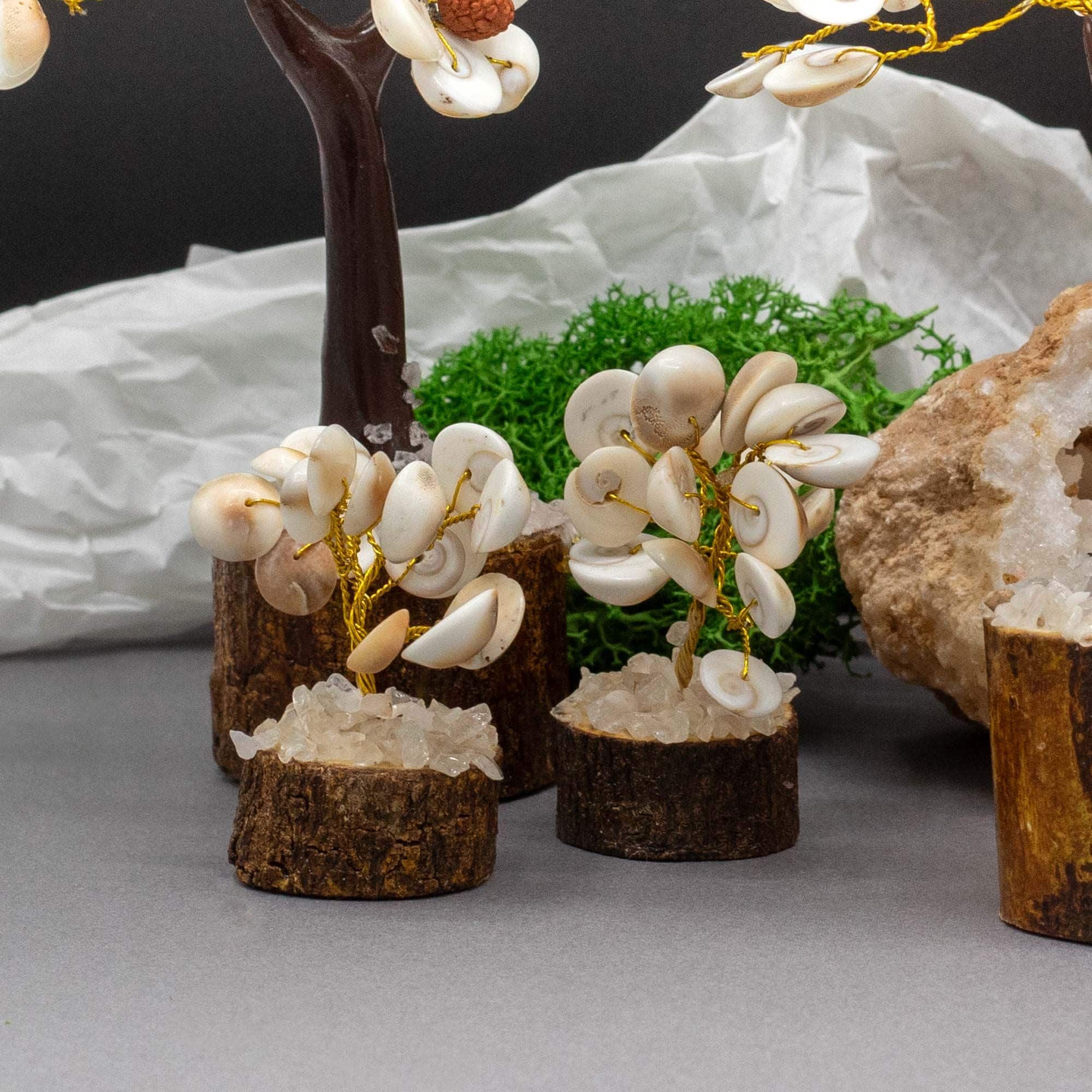 Pequeño Gomati Chakra Árboles de Piedra Círculo con Rudraksha - (15 piedras) - Imagen 3