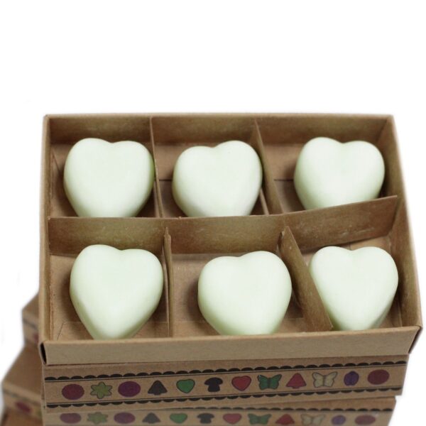 Caja de 6 ceras de Soja - manzana especiada - Imagen 3
