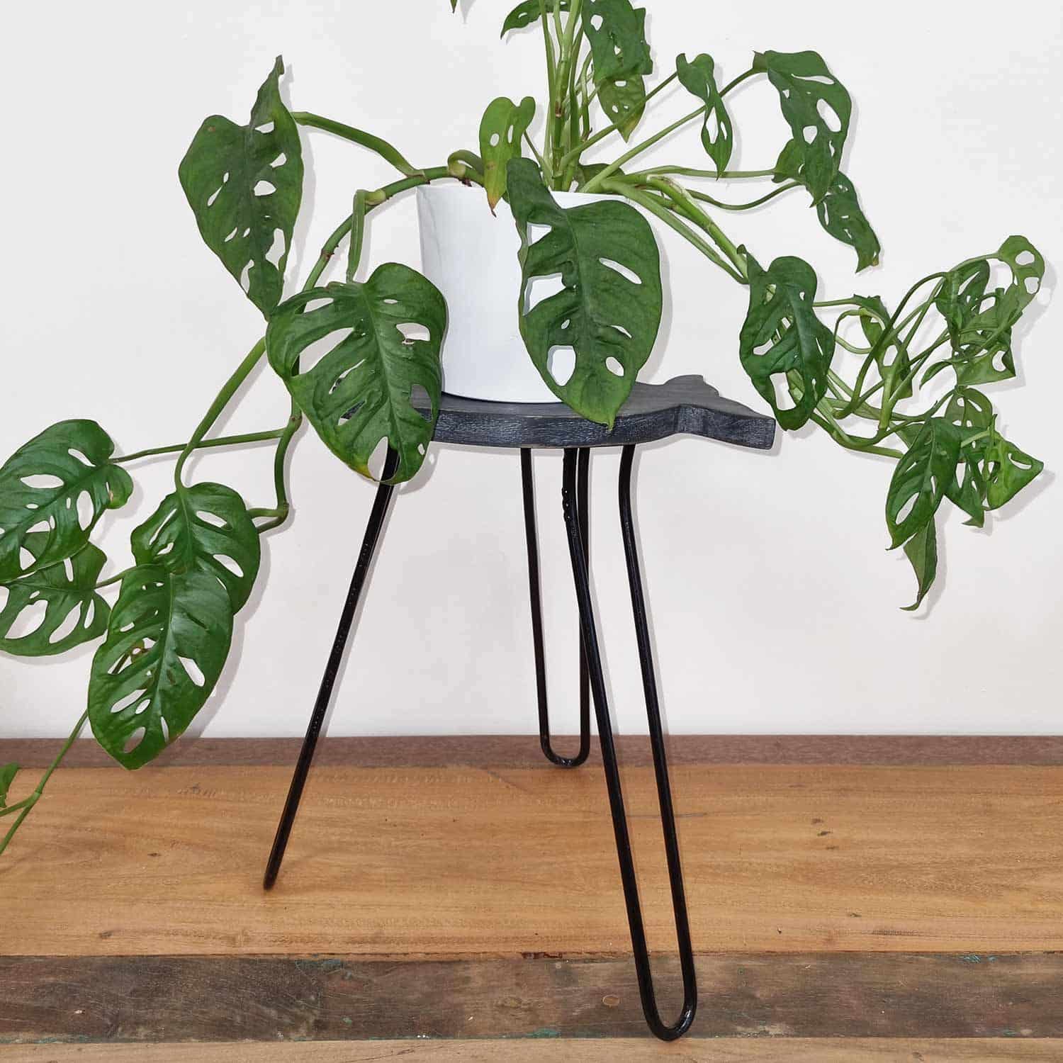 Mesa de Madera de Albasia - Grisáceo - Imagen 3