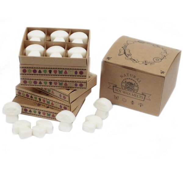 Caja de 6 ceras de Soja - Canela Y Naranja - Imagen 2