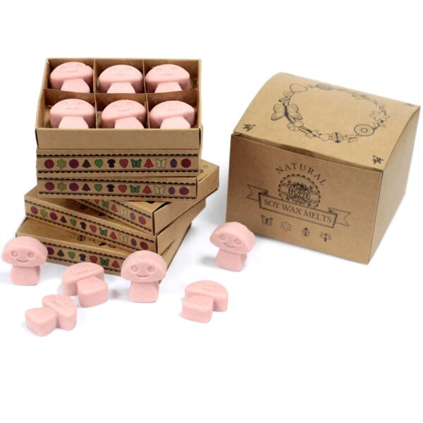 Caja de 6 cera de Soja - Café - Imagen 2