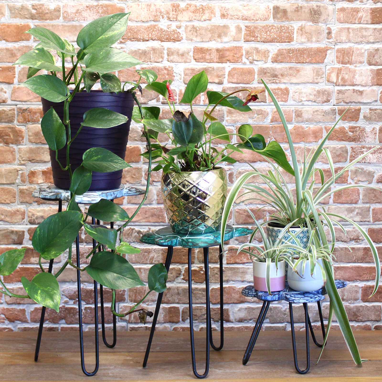 Juego de 3 maceteros de madera de Albasia - Tortugas - Imagen 2