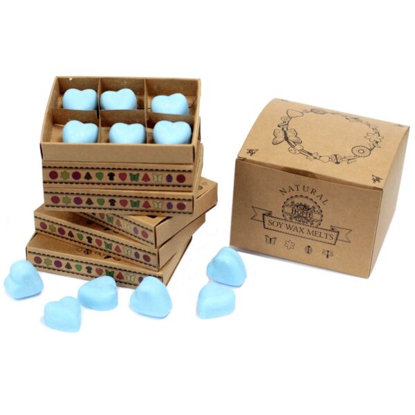 Caja de 6 ceras de Soja - Baya de gota - Imagen 2