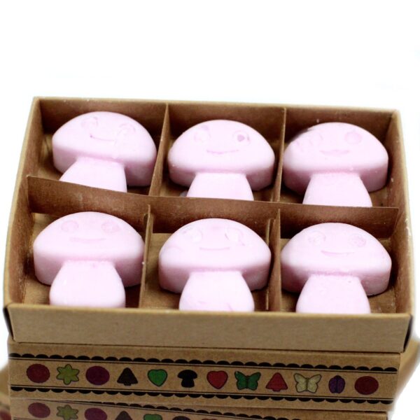 Caja de 6 ceras de Soja - Ylang Ylang - Imagen 3