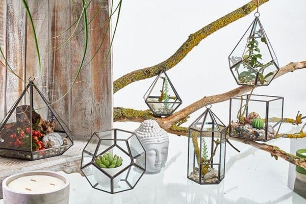 Terrario de Vidrio - Cubo en la Esquina - Imagen 4