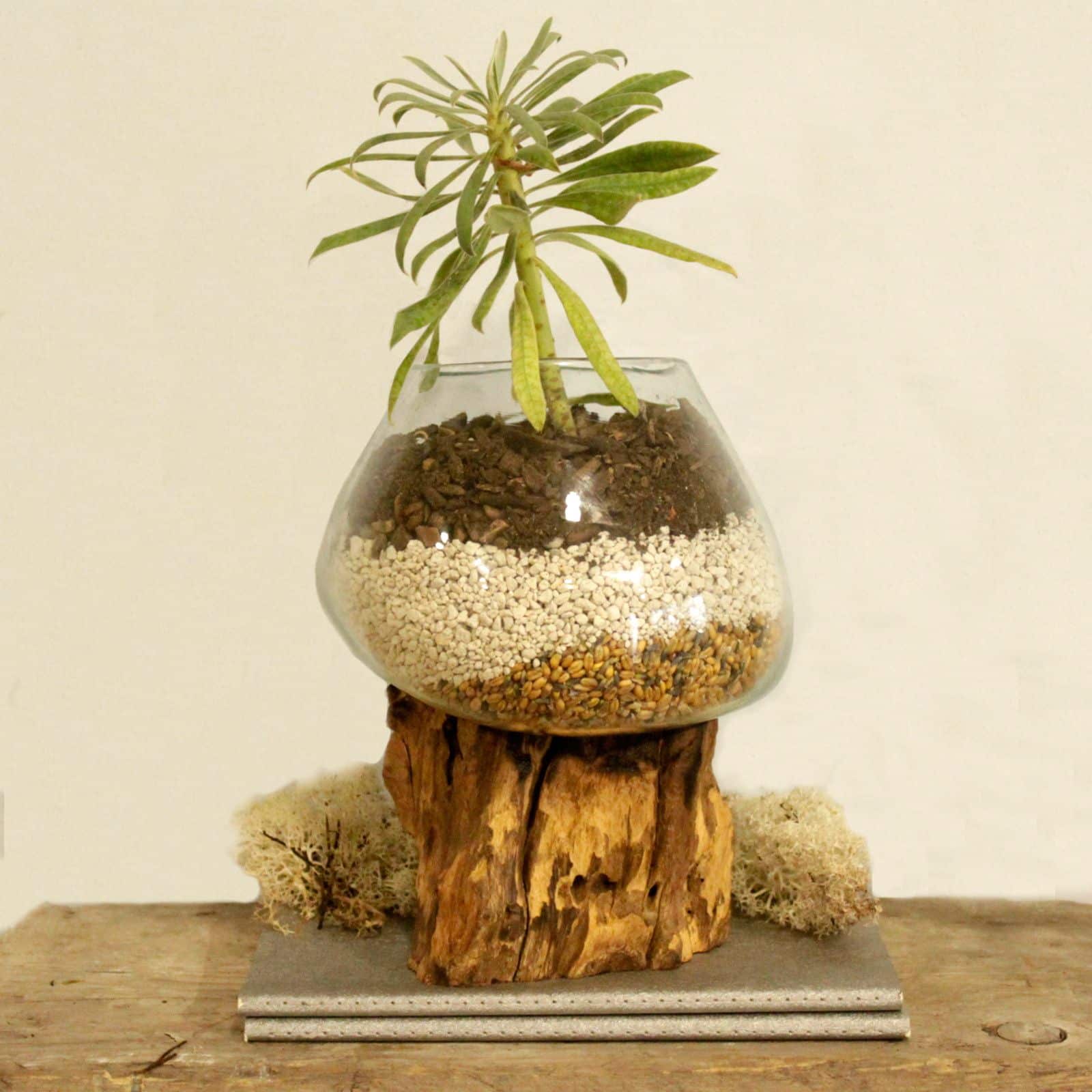 Vidrio Fundido Sobre Madera - Tazón grande - Imagen 5