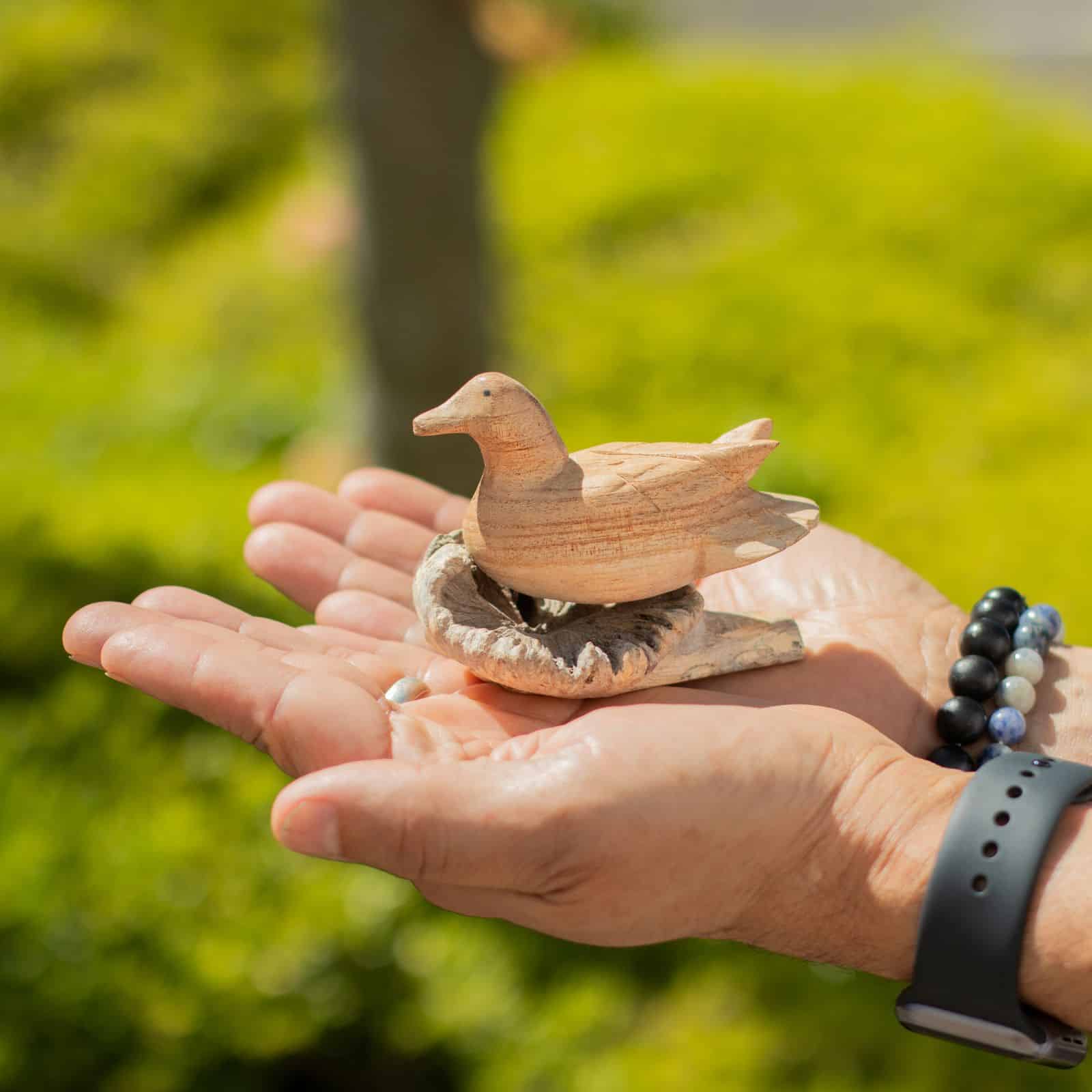 Talla de arte en madera parásita hecha a mano - Pato salvaje descansando - Imagen 4