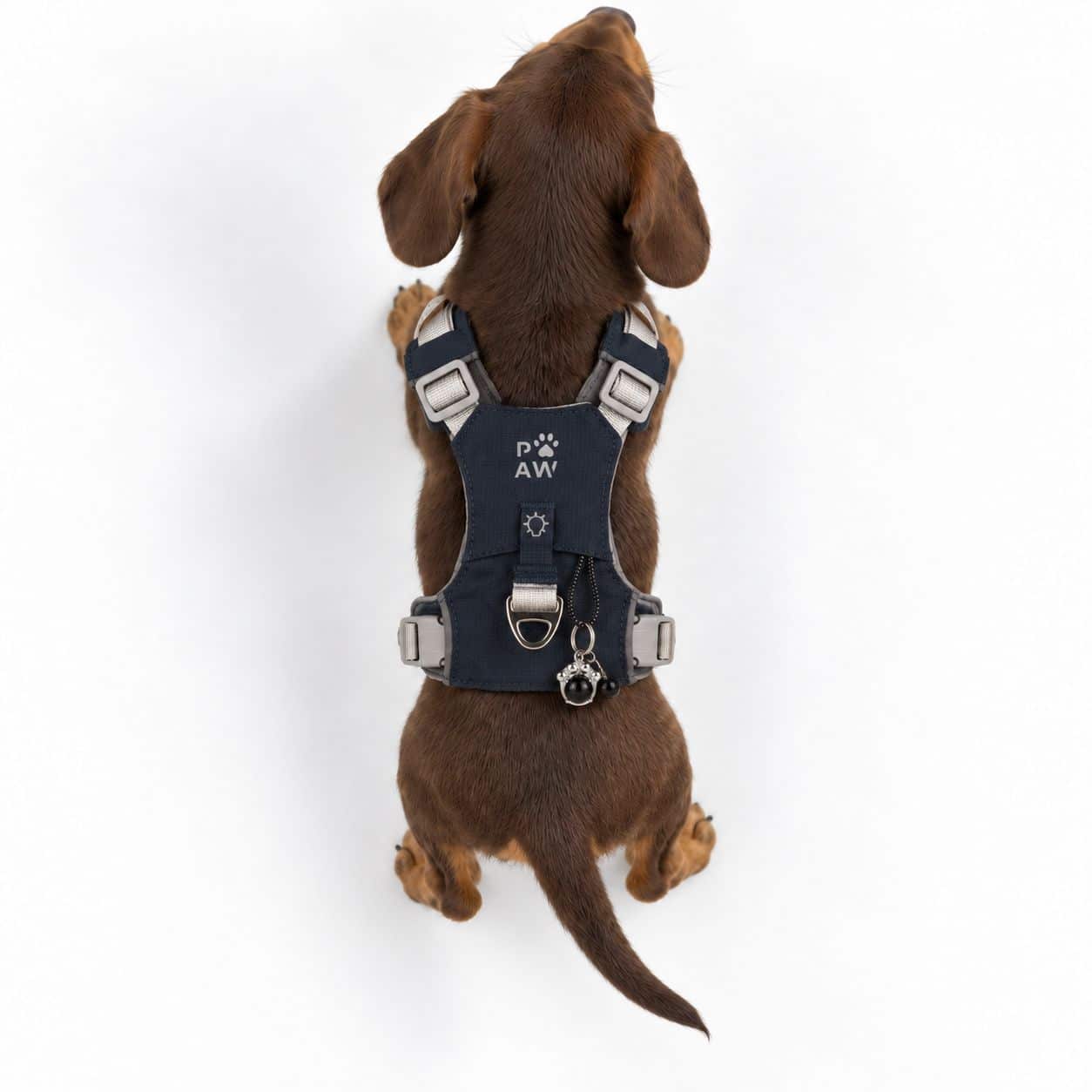 PAW - XS (2-4 kg) Arnés de paso para perros Guardian con malla reflectante - Rock Grey - Black Obsidian Charm - Imagen 9