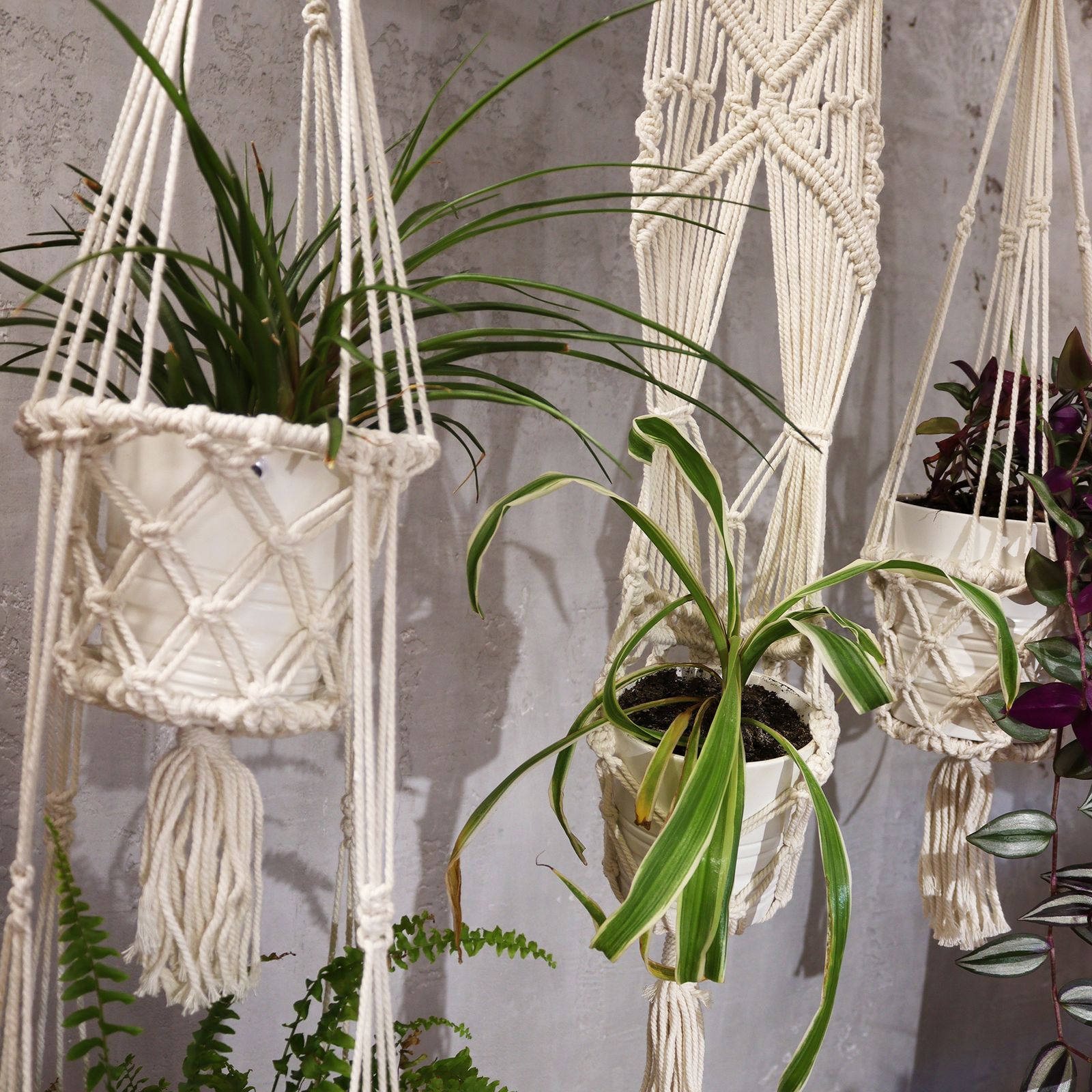 Macetero de Macrame - Largo con Aro de Ratán - Imagen 6