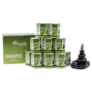 Paquete de 10 Incienso Masala Backflow - Eucalipto