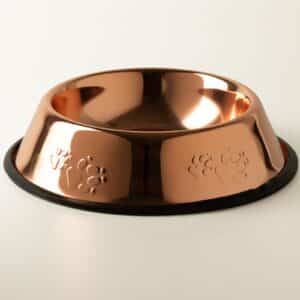 PAW Cuencos para comida - Estilo cobre único - 22 cm - Acero inoxidable (304)