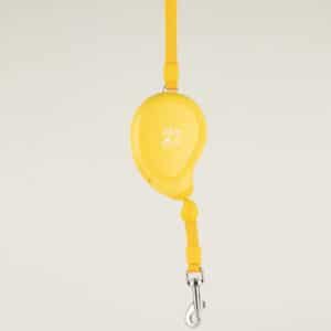Correa para mascota Paw Pet - Mini Mango - Amarillo - 3m