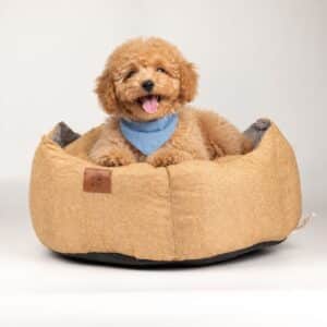 Cama para mascotas – Mediana Corona Real – Arena y Gris – 50 × 50 × 26 cm