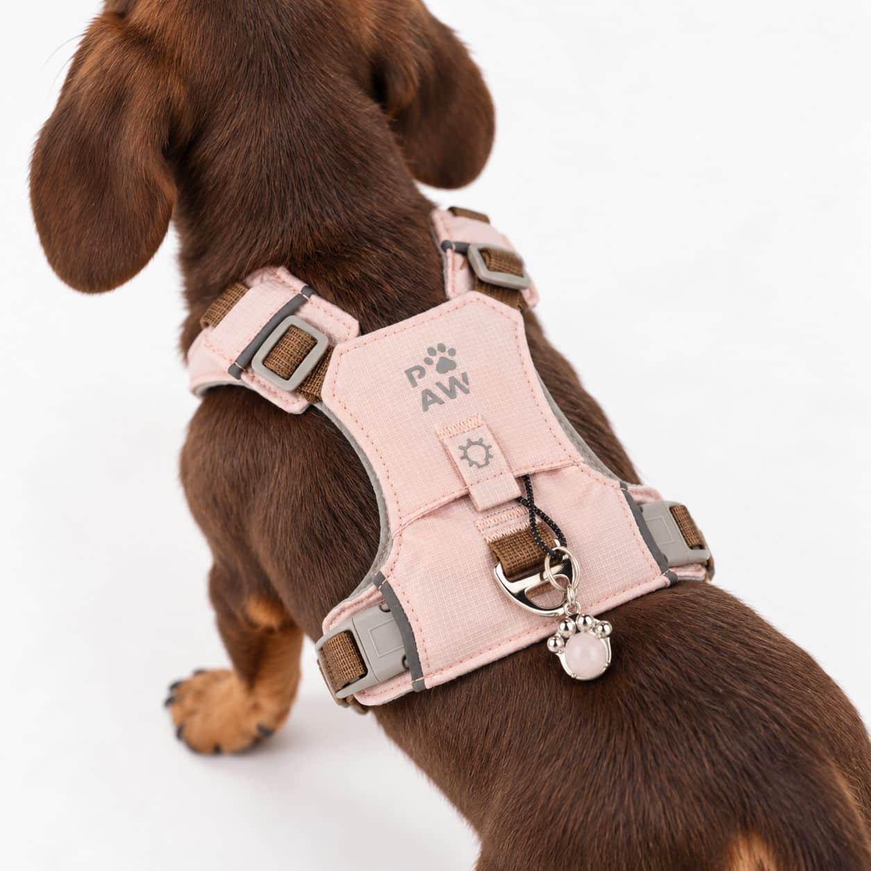 PAW - XS (2-4 kg) Arnés de paso para perros Guardian con malla reflectante - Rosa suave - Colgante de cuarzo rosa - Imagen 10