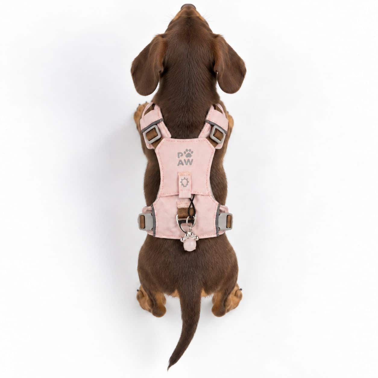 PAW - XS (2-4 kg) Arnés de paso para perros Guardian con malla reflectante - Rosa suave - Colgante de cuarzo rosa - Imagen 11