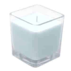 Velas de Soya sin Etiqueta- Fig & Cassis