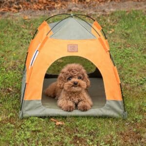 PAW Bed – Tienda verde y naranja – 48 × 48 × 40 cm