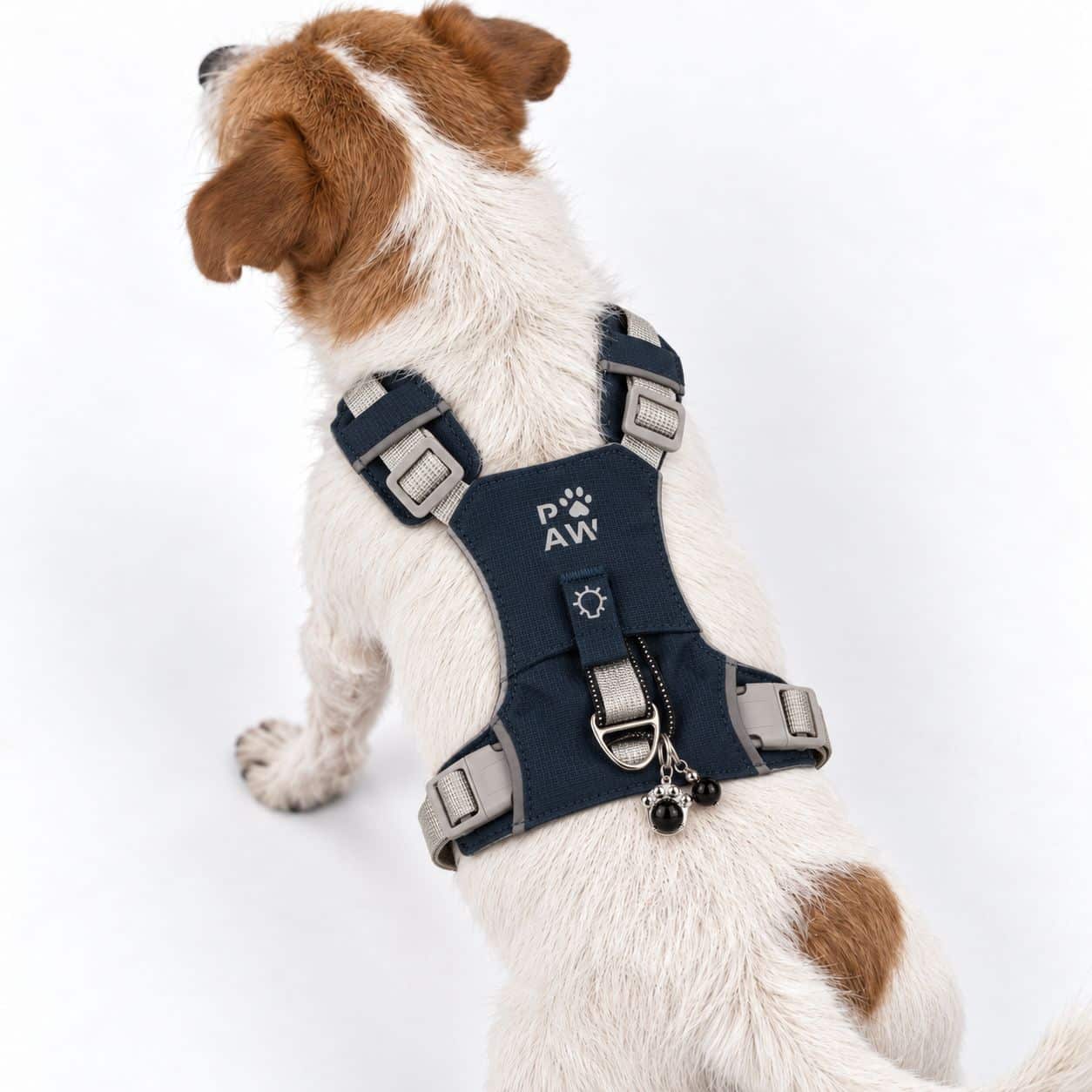 PAW - S (4-8 kg) Arnés de paso para perros Guardian con malla reflectante - Gris roca - Colgante de obsidiana negra - Imagen 11