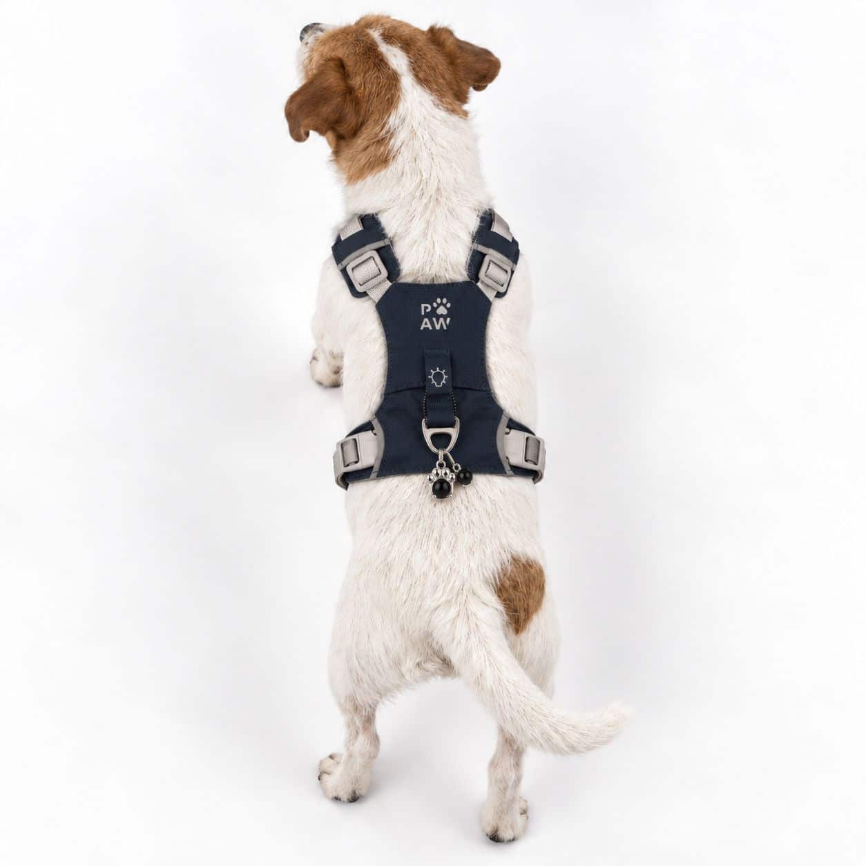 PAW - S (4-8 kg) Arnés de paso para perros Guardian con malla reflectante - Gris roca - Colgante de obsidiana negra - Imagen 10